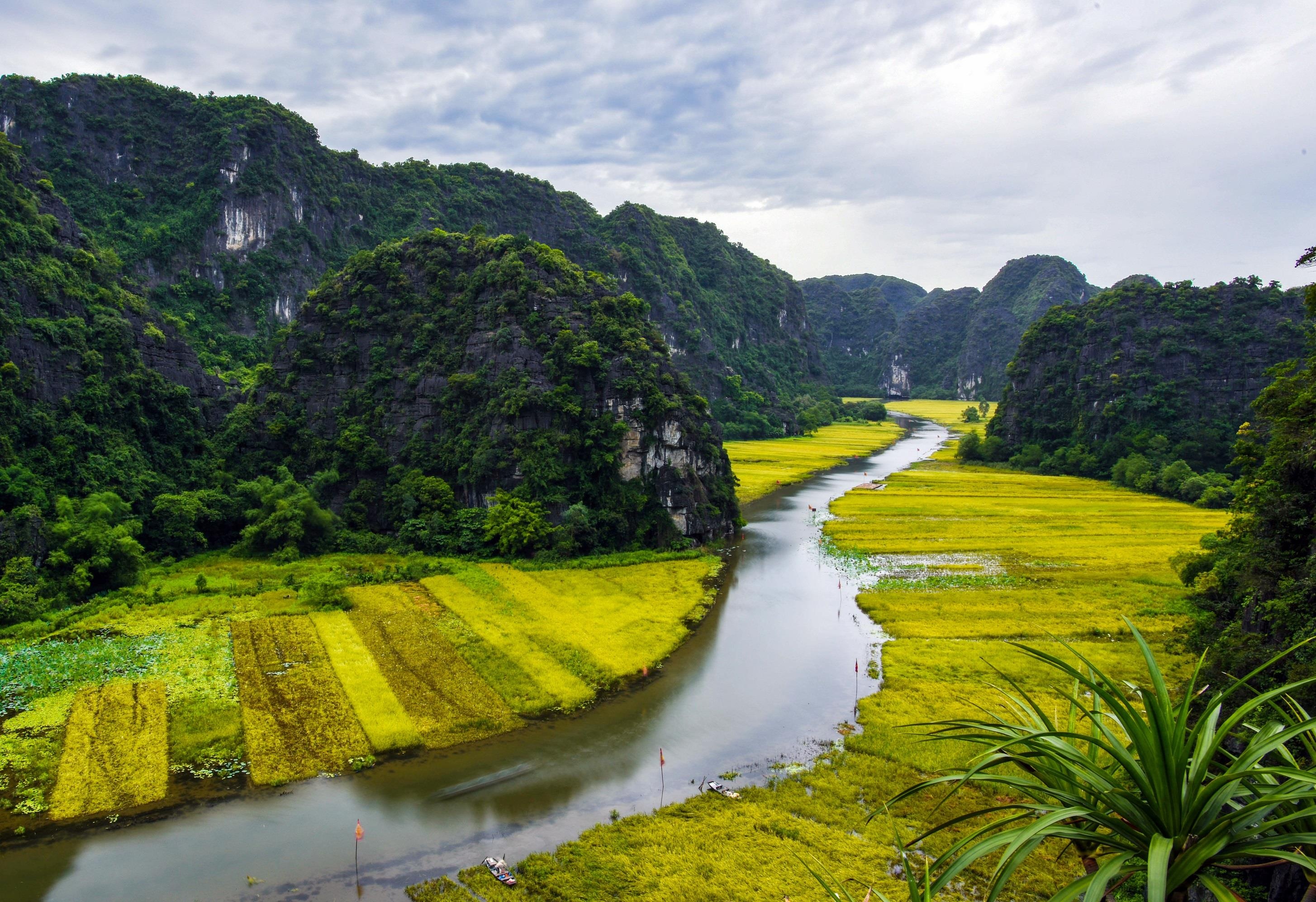 Đà Lạt vào tháng 6 ảnh 3 Da Lat vao thang 6 anh 3