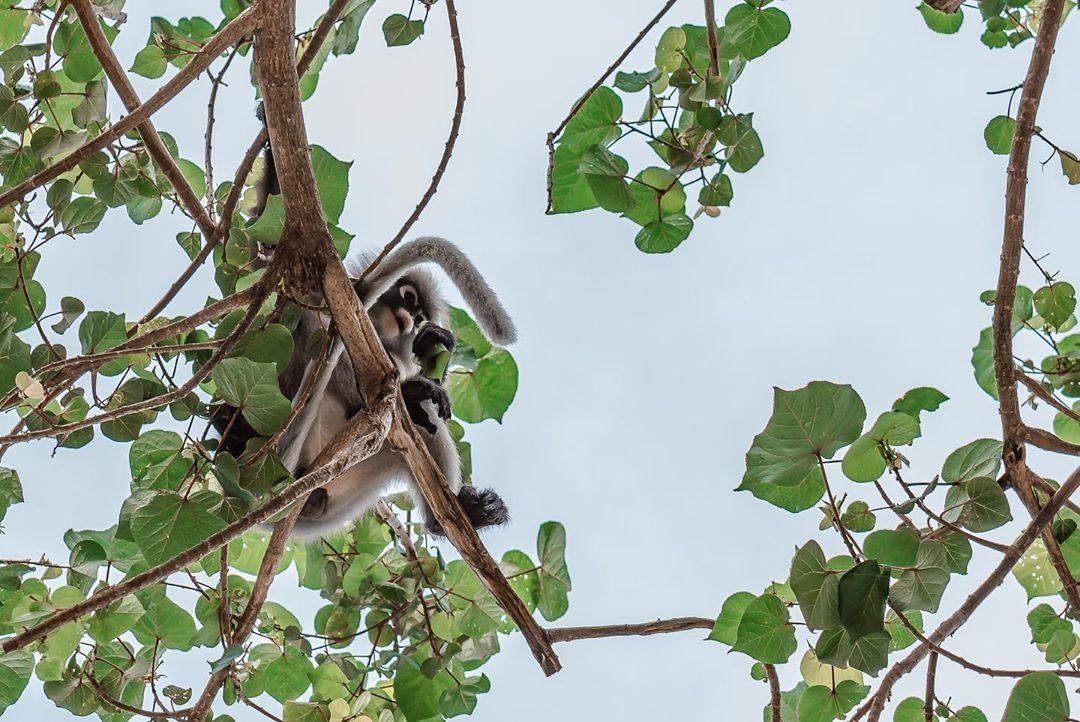 nhung bai bien dep nhat Thai Lan anh 3