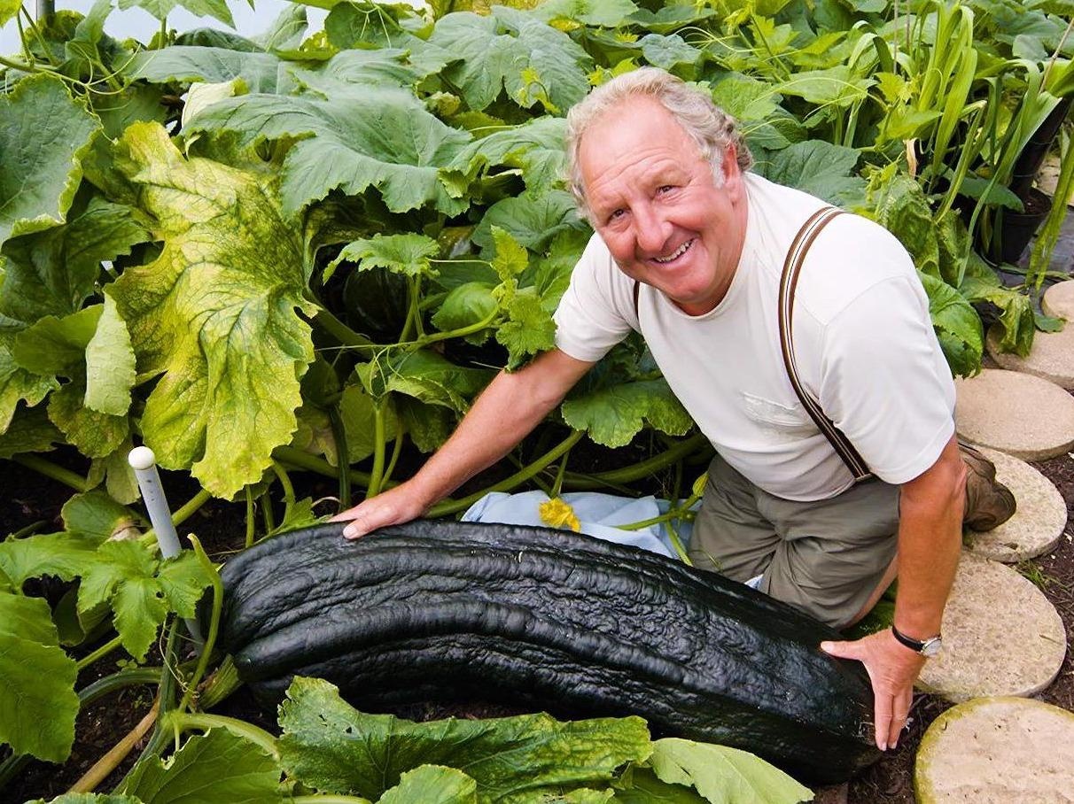 Tham vuon rau 'sieu to khong lo', bi nang 45 kg, bap cai 55 kg hinh anh