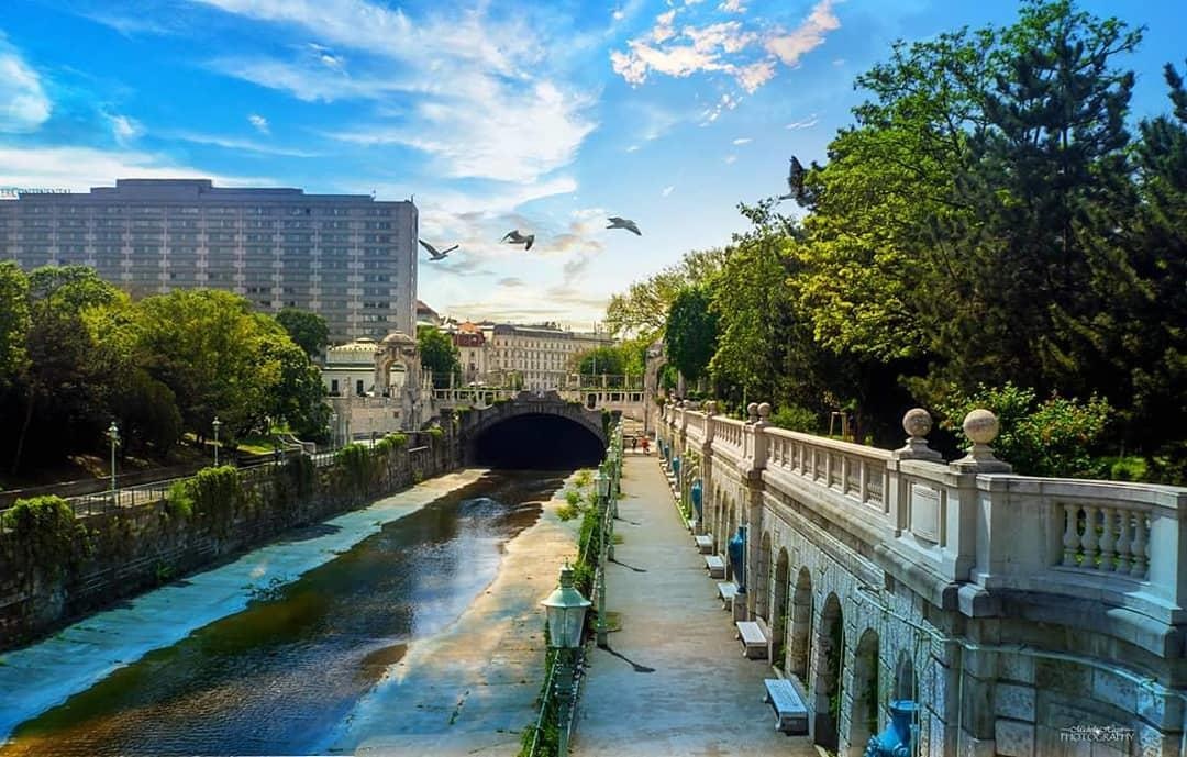 Vienna nghia la gi anh 4