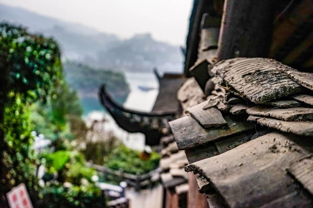 Phu Dung co tran anh 13