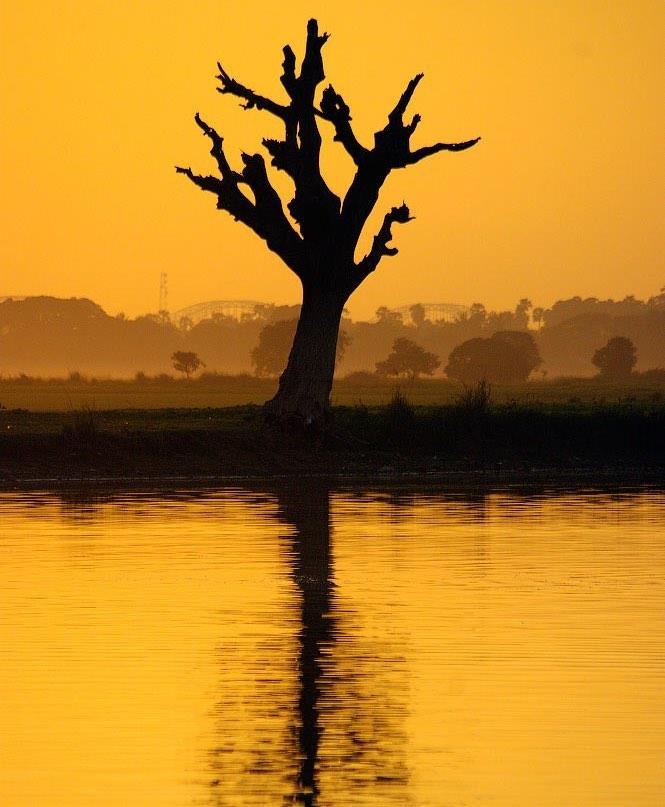 du lịch Myanmar ảnh 4 du lich Myanmar anh 4