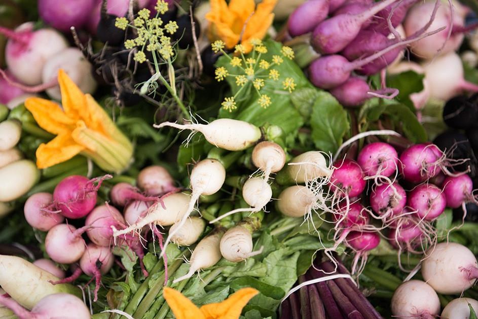 Khu vuon chuyen trong rau cu ti hon cho cac nha hang tot nhat the gioi hinh anh