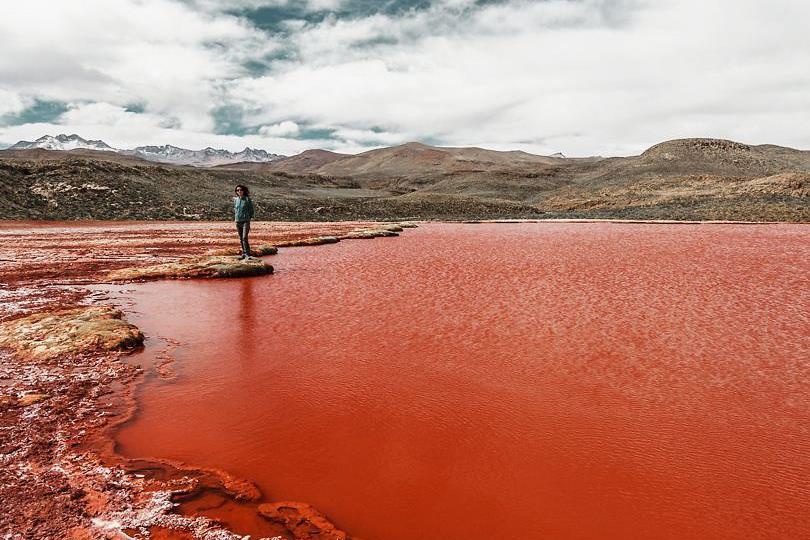 Ho nuoc do nhu mau, dong vat hoang da khong dam lai gan hinh anh