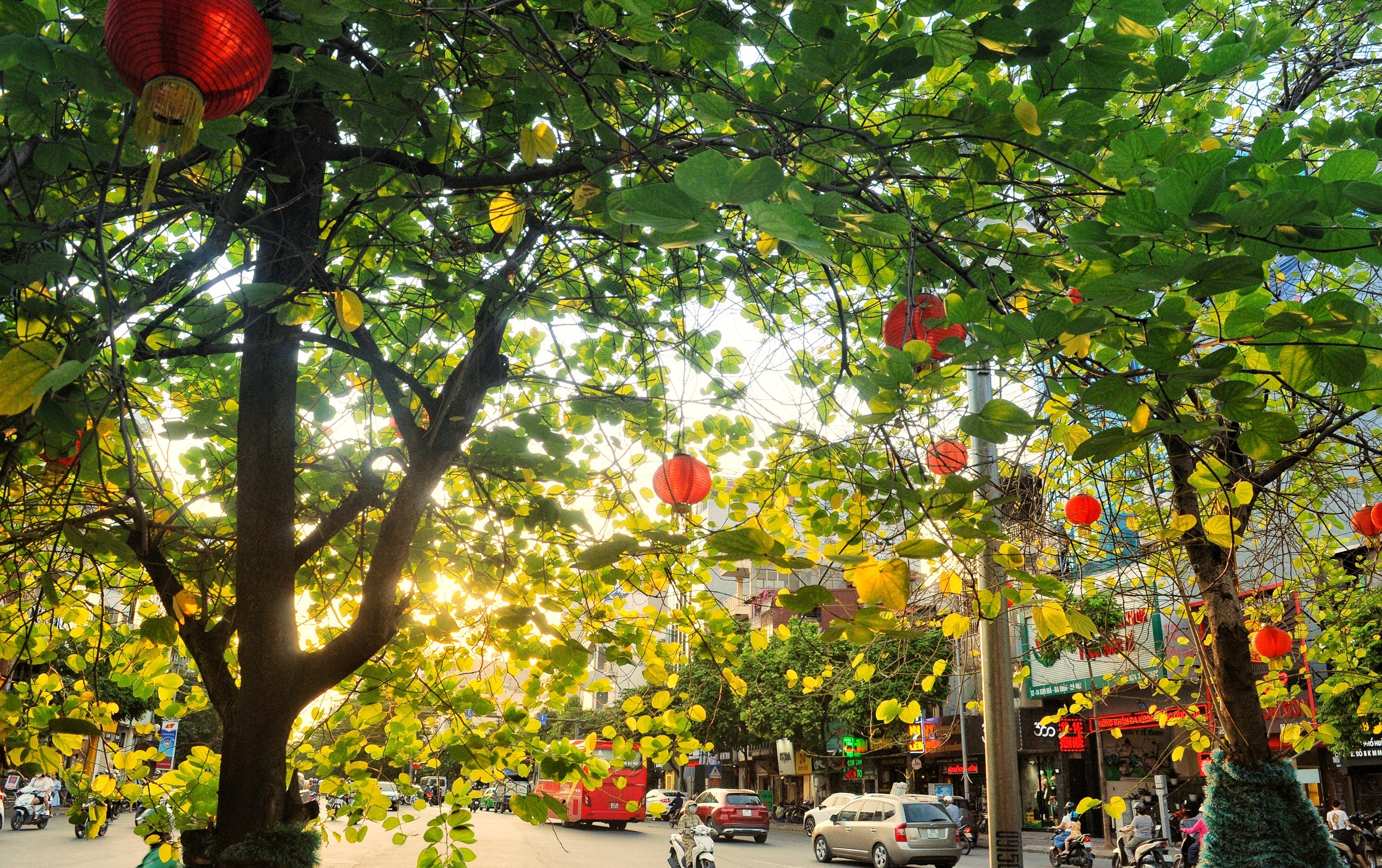 Ha Noi mua thu anh 12