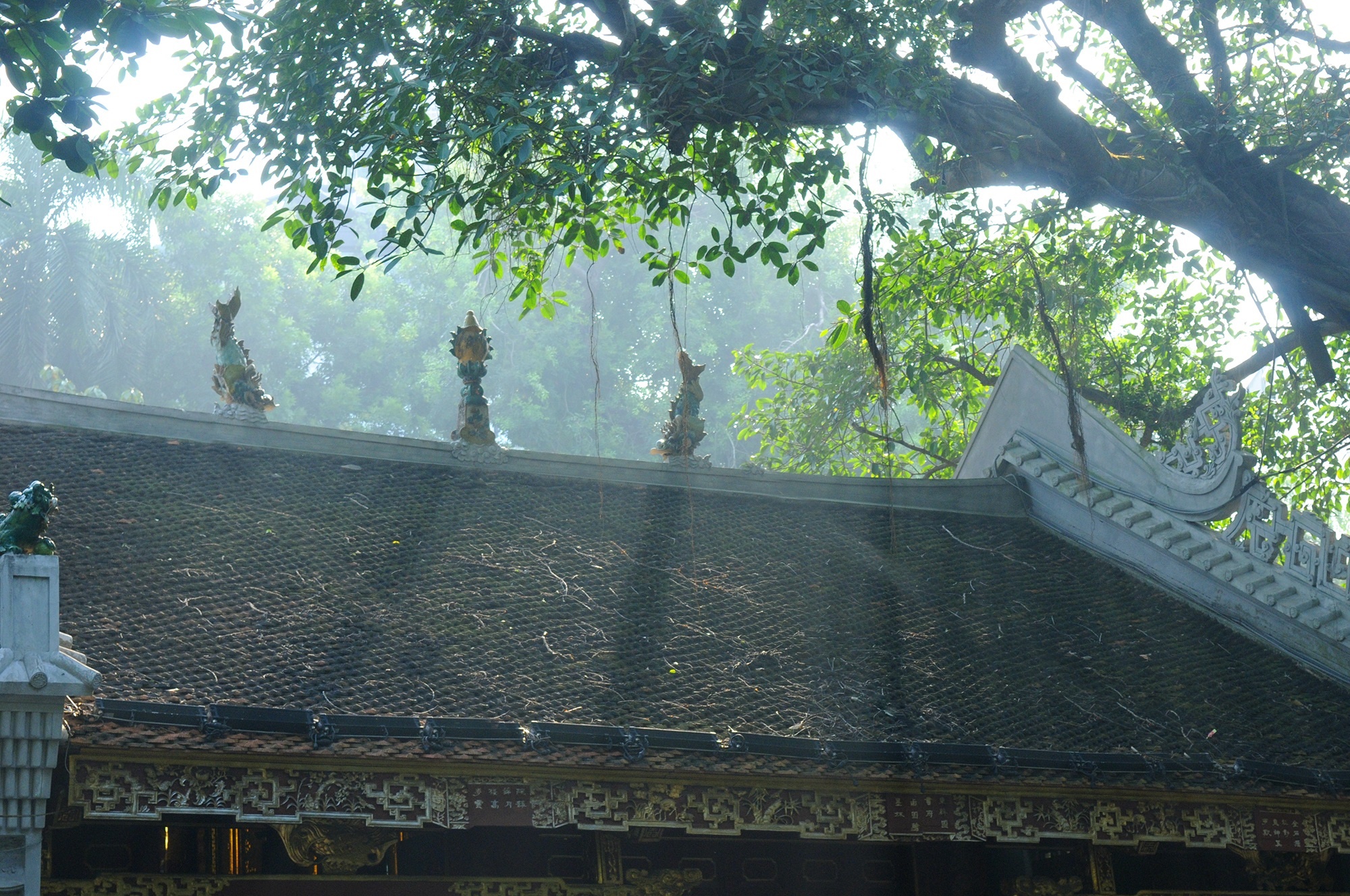 Ha Noi mua thu anh 1