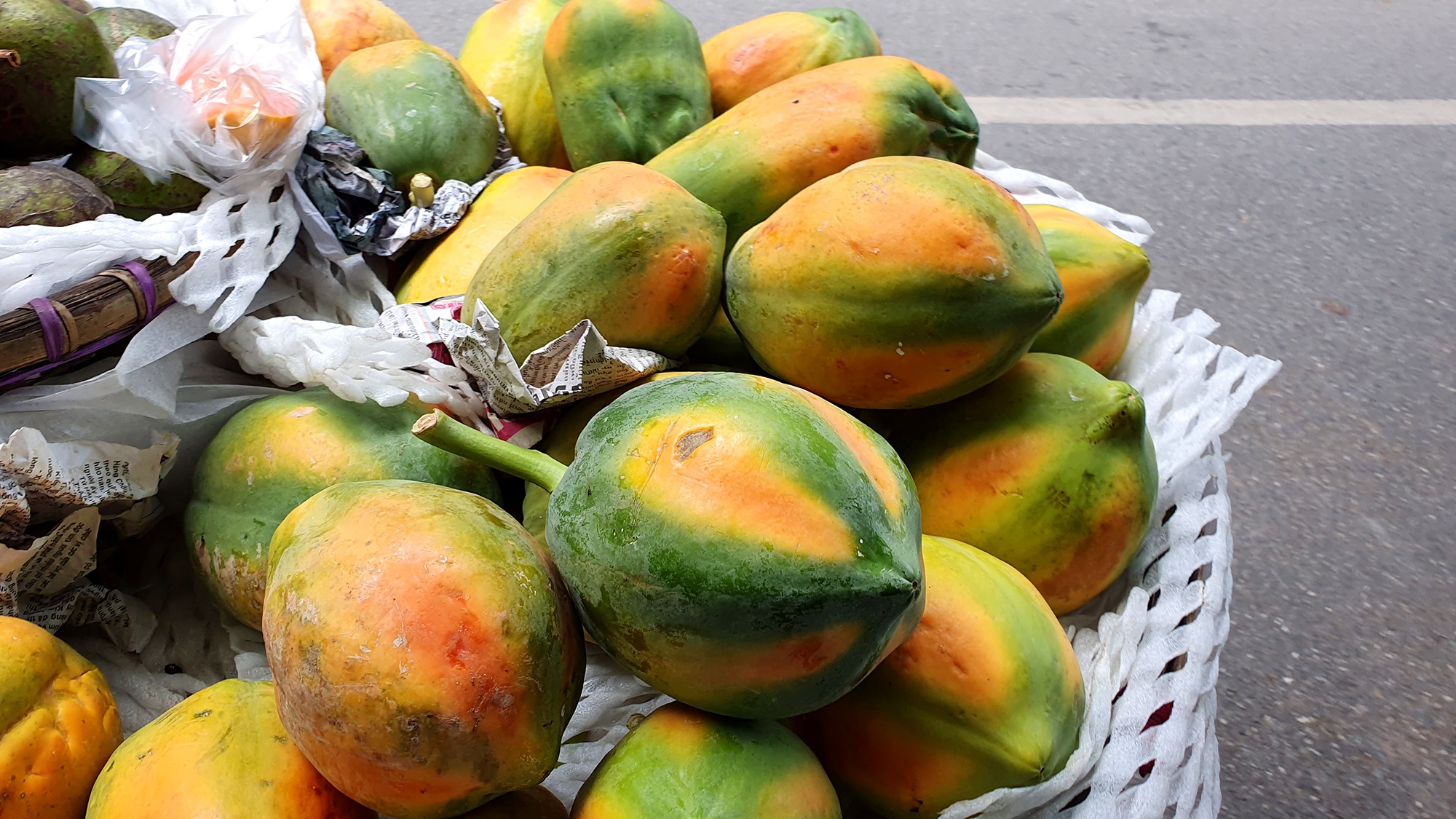 Ha Noi mua thu anh 23