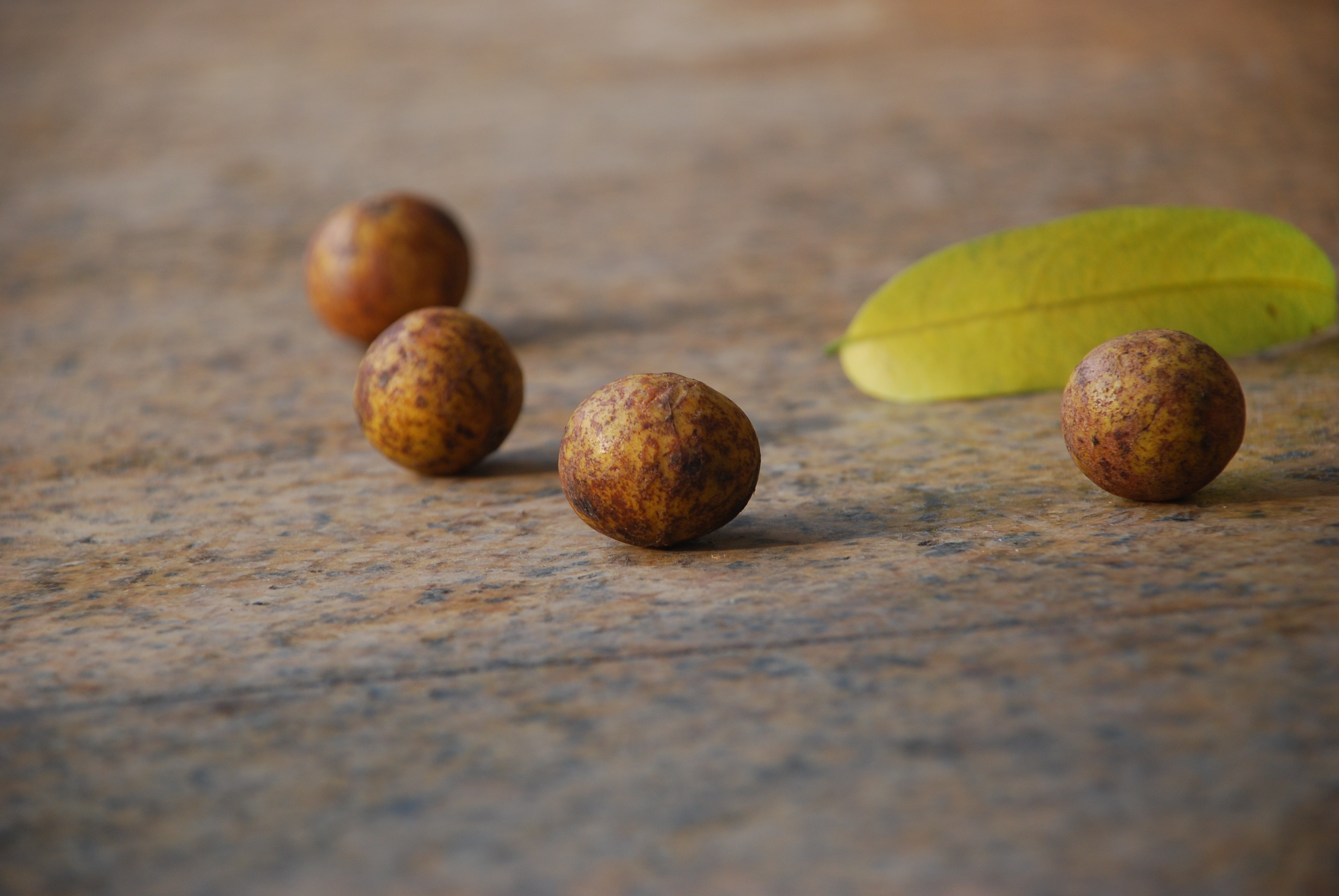 Ha Noi mua thu anh 15