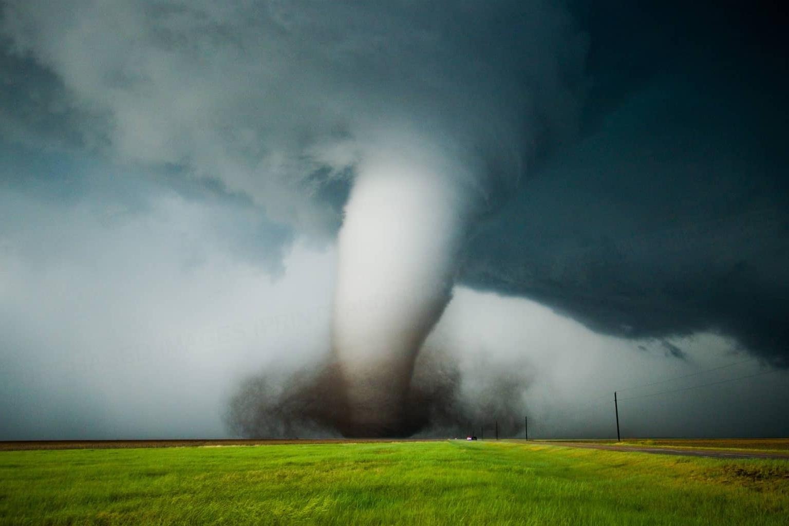 Dieu gi se xay ra neu con nguoi nhay du vao voi rong? hinh anh