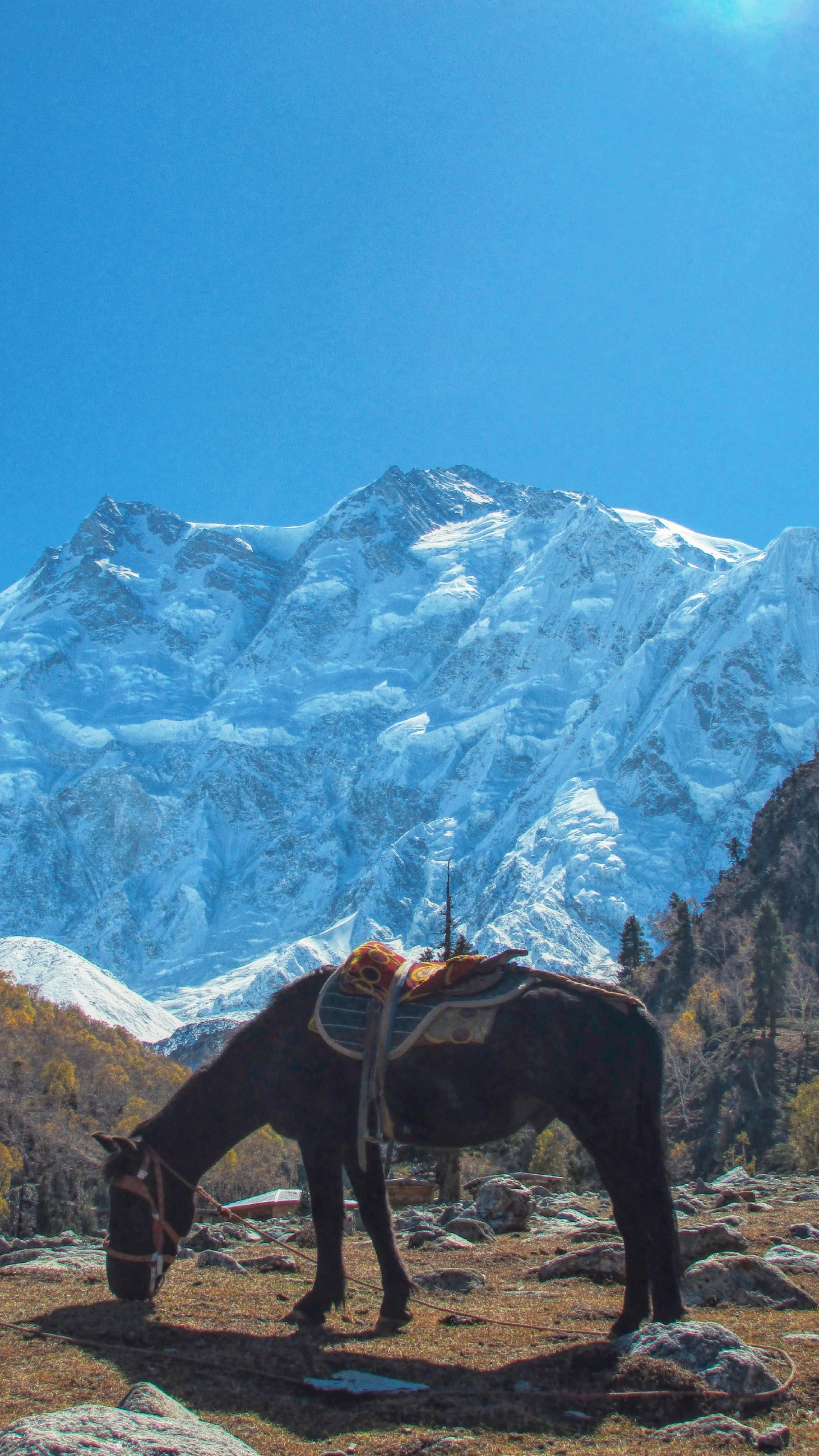 dinh nui cao thu 9 the gioi anh 4