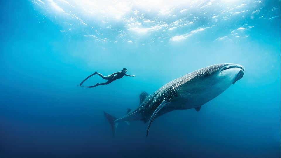 Maldives ảnh 3 Maldives anh 3