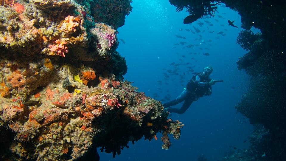 Maldives ảnh 4 Maldives anh 4