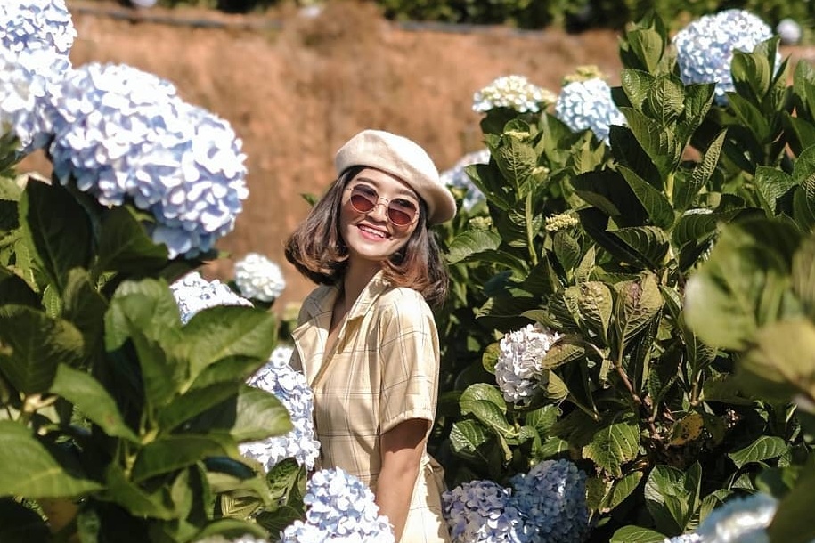 Da Lat, Sa Pa 'chay phong' dip Tet duong lich hinh anh