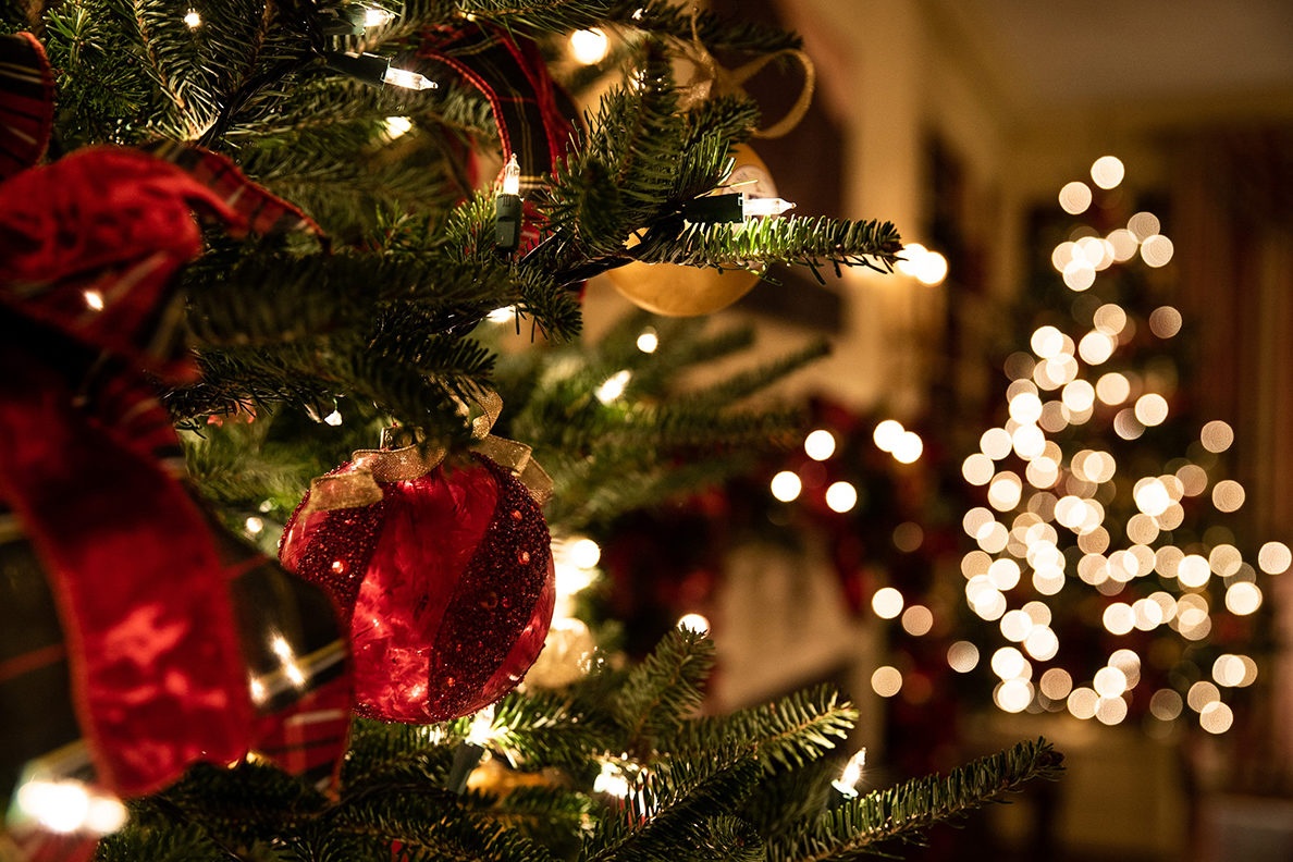 cây thông Noel ảnh 1 cay thong Noel anh 1