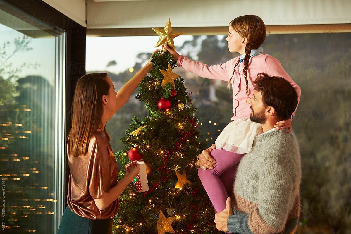 cây thông Noel ảnh 2 cay thong Noel anh 2