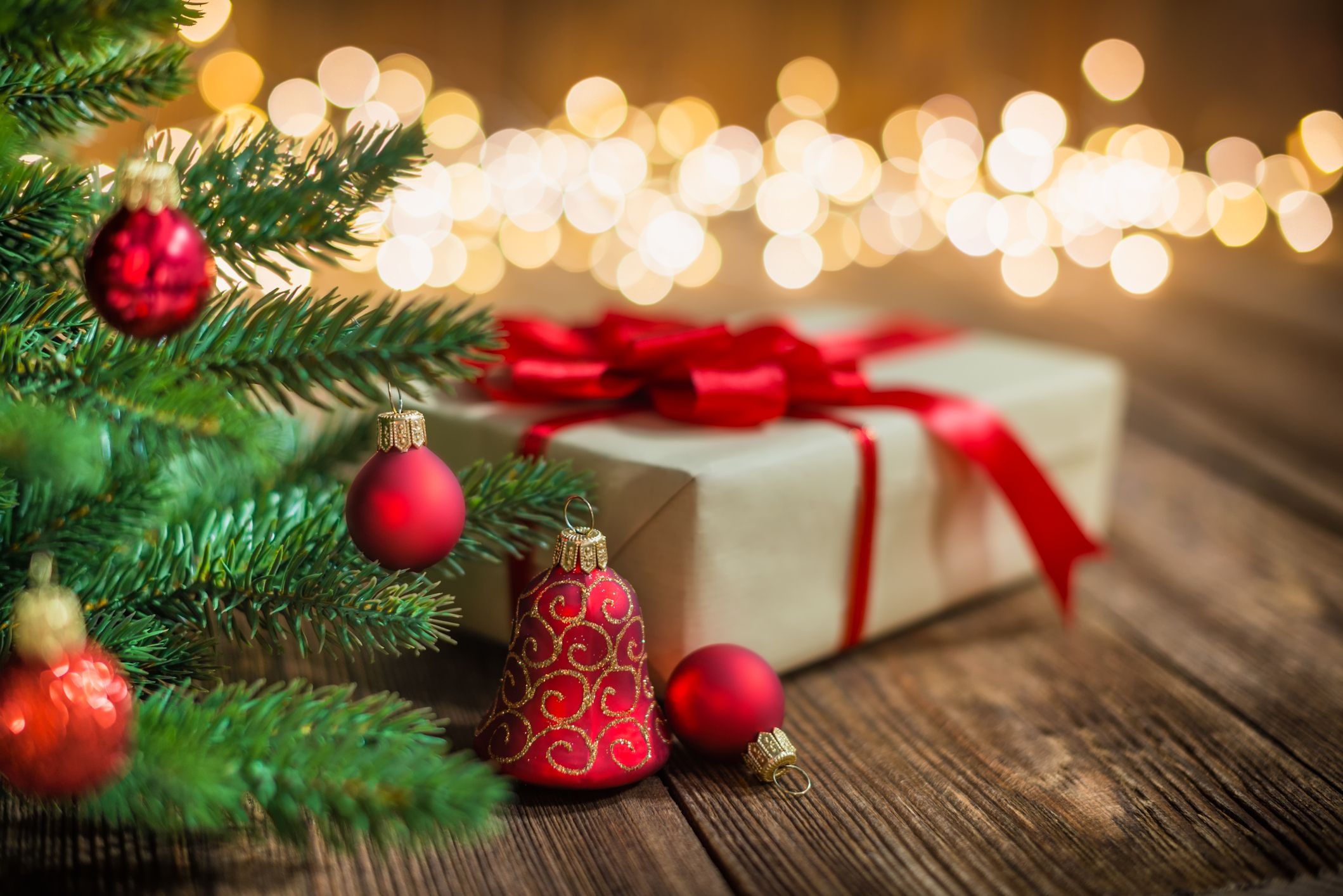 cây thông Noel ảnh 4 cay thong Noel anh 4
