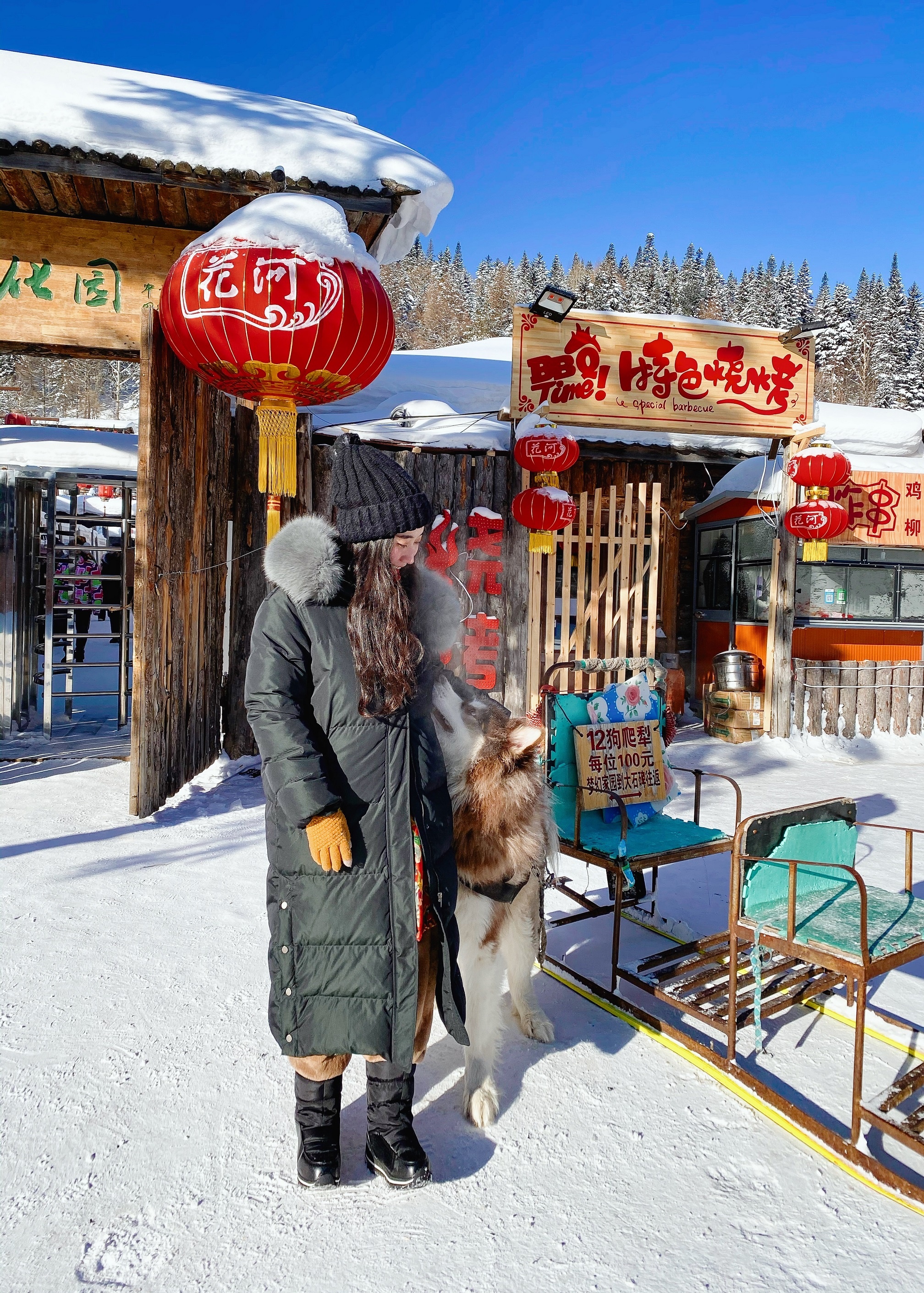 giac mo tuyet trang anh 10