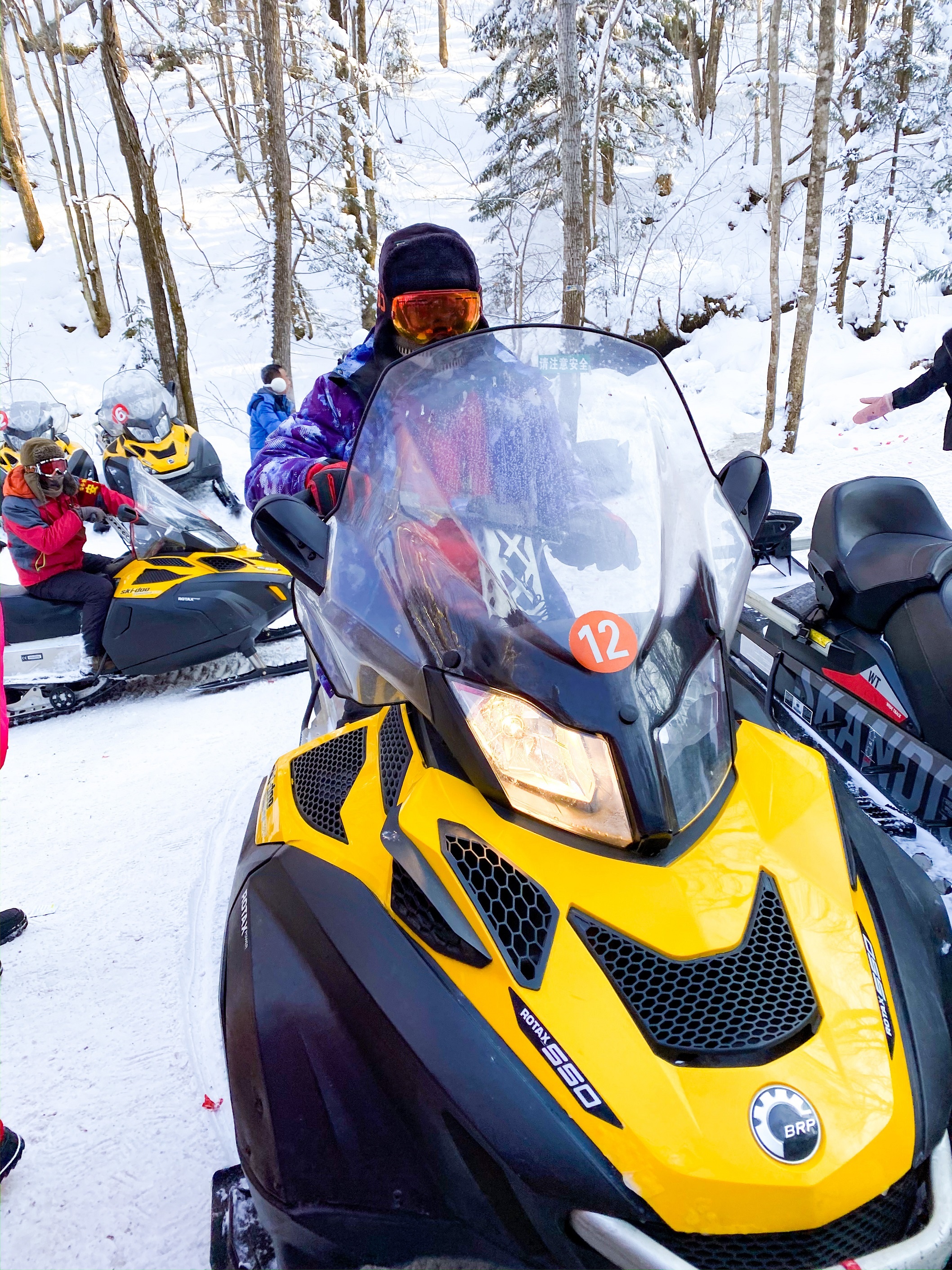 giấc mơ tuyết trắng ảnh 5 giac mo tuyet trang anh 5