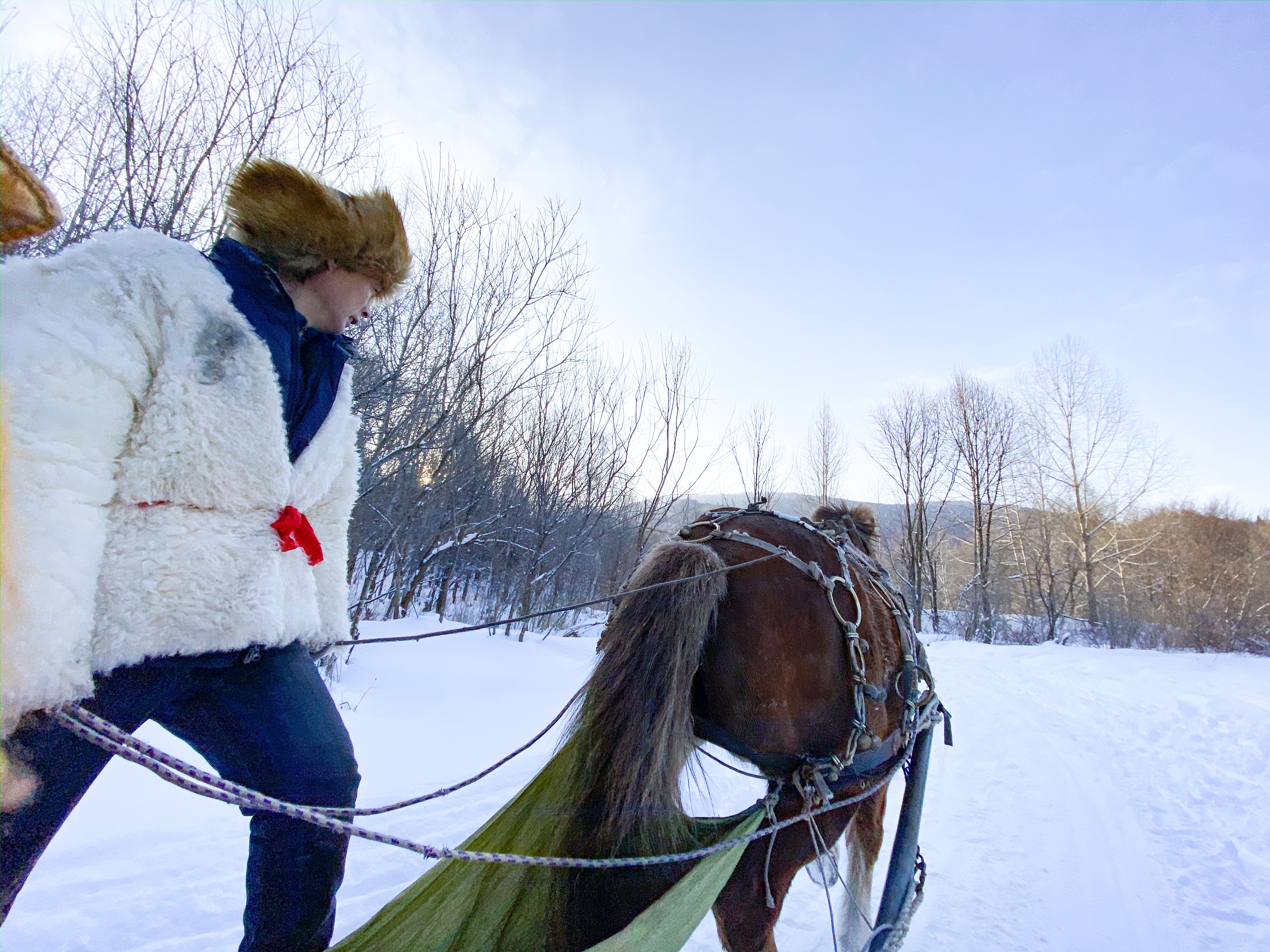 giấc mơ tuyết trắng ảnh 13 giac mo tuyet trang anh 13