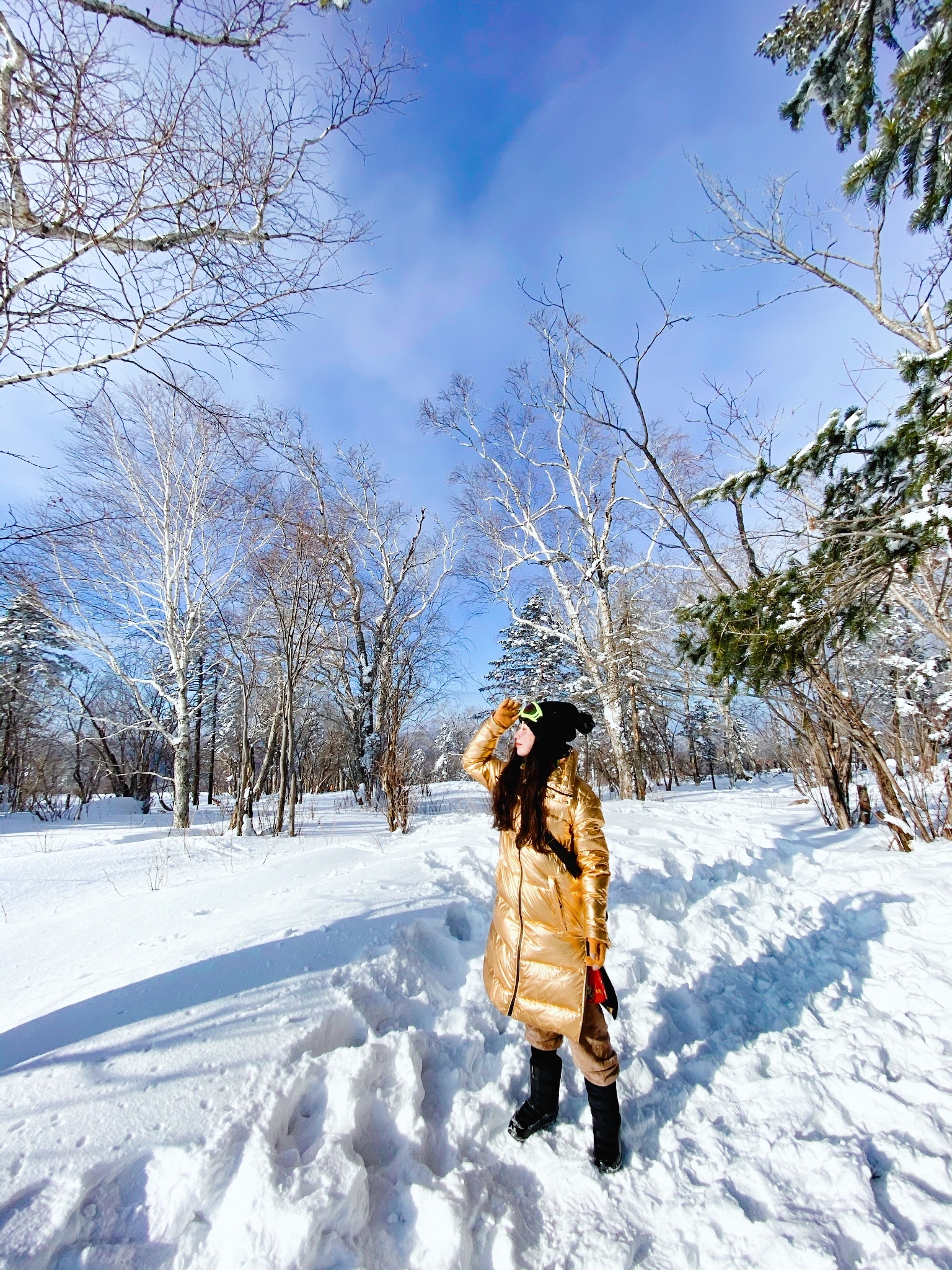 giac mo tuyet trang anh 14