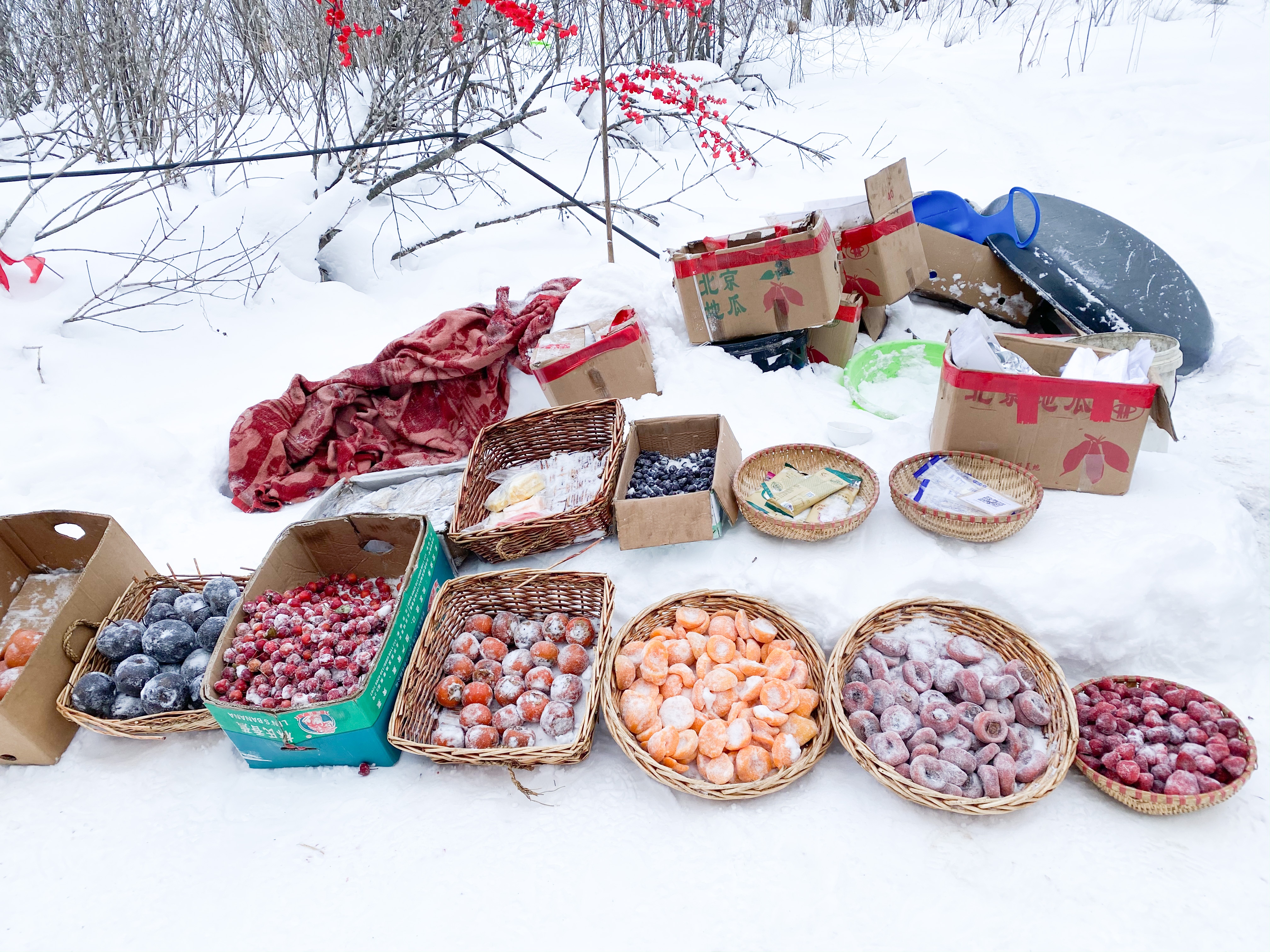 giấc mơ tuyết trắng ảnh 11 giac mo tuyet trang anh 11