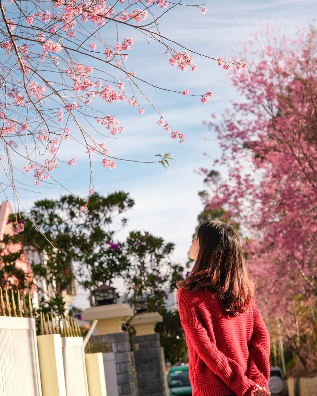 Thời tiết dịp Tết ảnh 15 Thoi tiet dip Tet anh 15