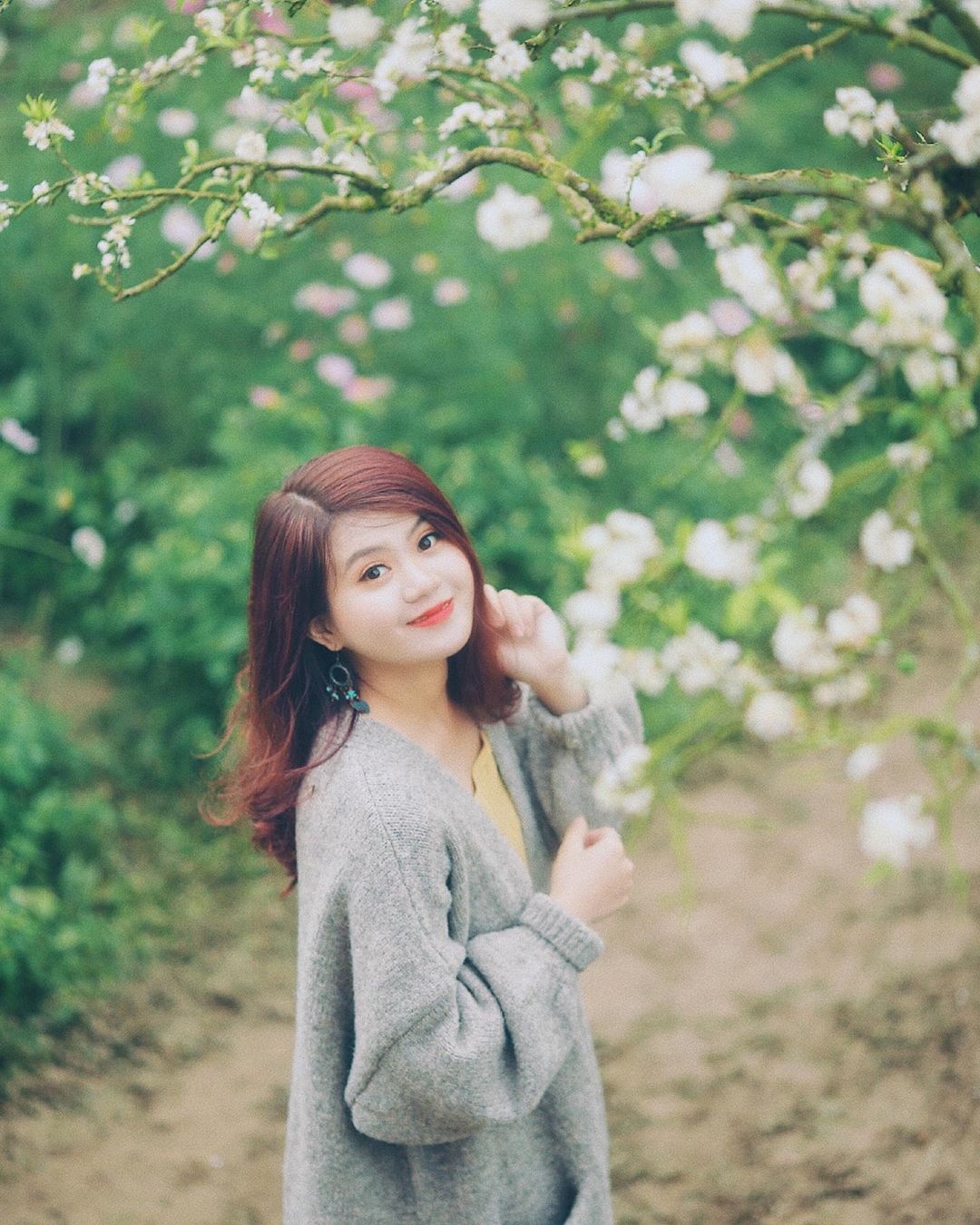 Thời tiết dịp Tết ảnh 5 Thoi tiet dip Tet anh 5