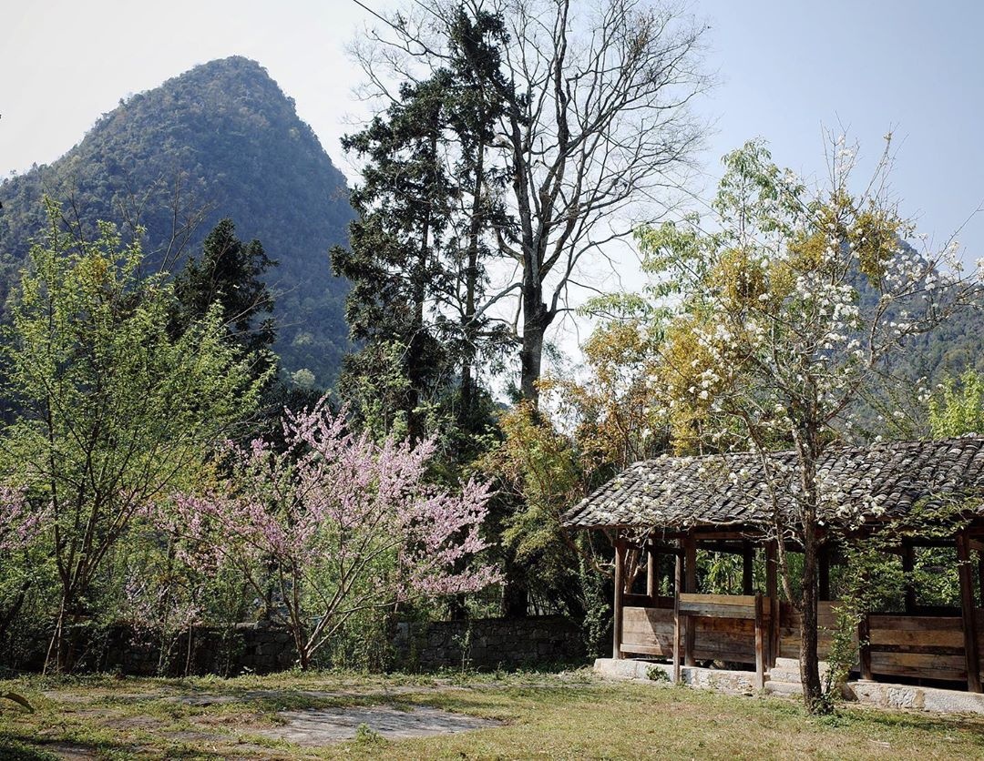 Thời tiết dịp Tết ảnh 7 Thoi tiet dip Tet anh 7