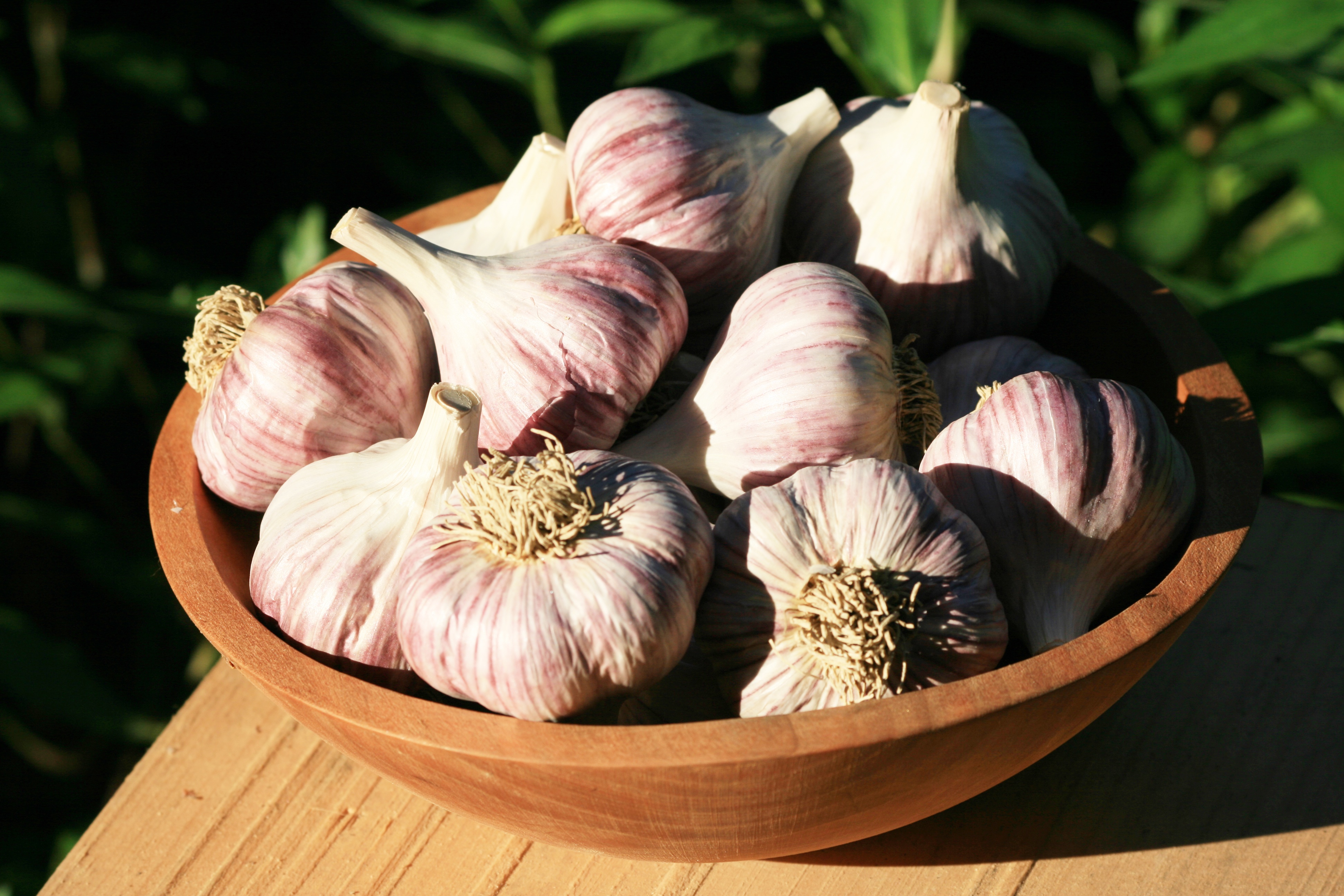 cúm ảnh 3 cum anh 3