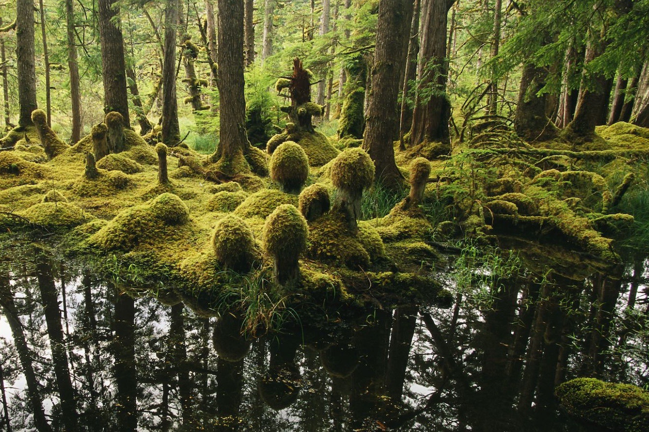 Vung dat chi cho 12 du khach den tham trong mot thoi diem hinh anh