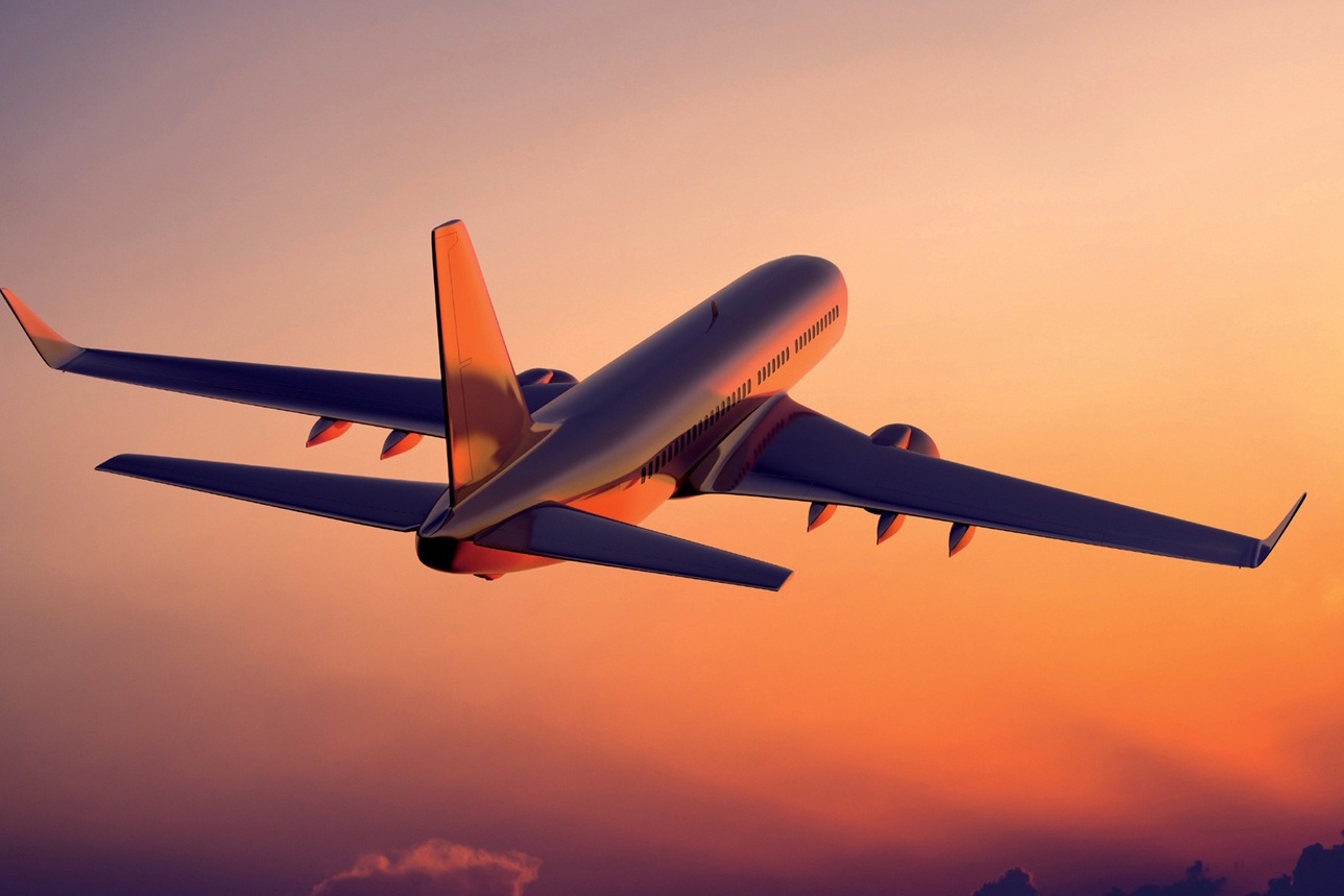 Ly do phi co khong the bay khi thoi tiet qua nong hinh anh