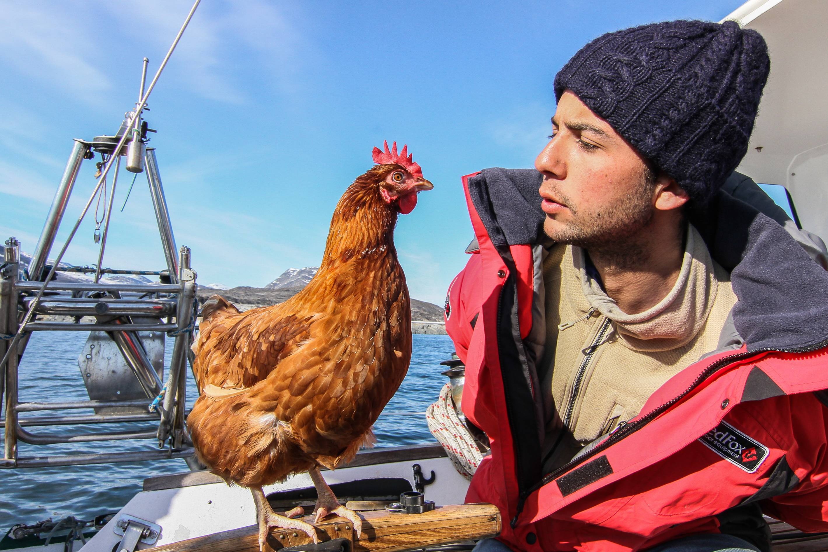 Lenh denh tren bien, chu du the gioi cung mot con ga hinh anh