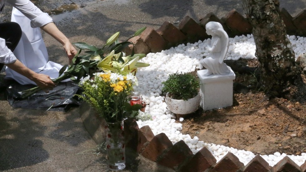 Chat vat tim noi tuong nho nhung dua con chua bao gio chao doi hinh anh