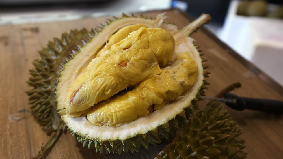 So tan dai hoc va nhung su co bat ngo tu trai sau rieng hinh anh