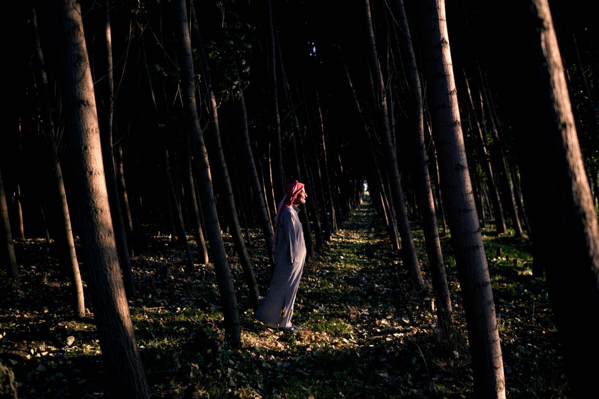 nguoi ti nan Syria anh 4