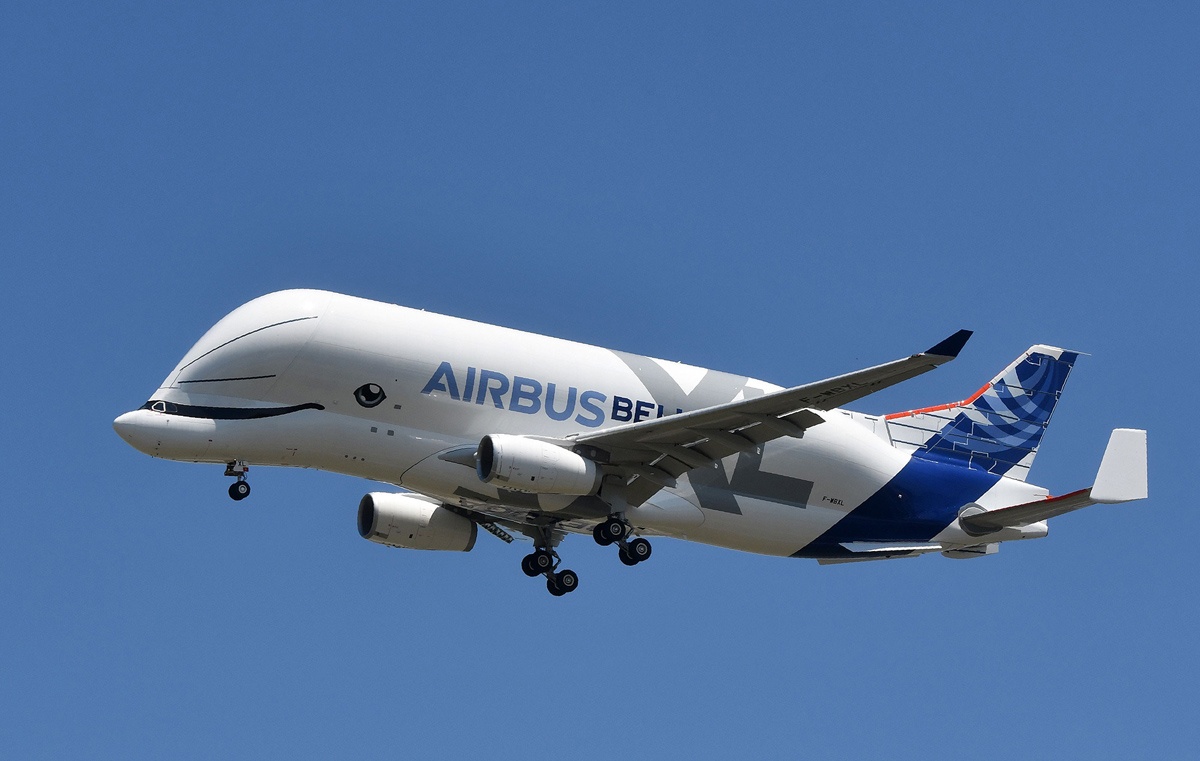 Tiec mung Phap vo dich World Cup va bao Son Tinh vao top anh tuan hinh anh