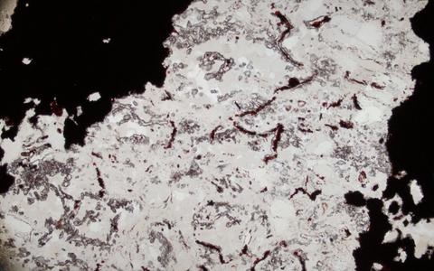 mặt trăng có sự sống ảnh 2 mat trang co su song anh 2