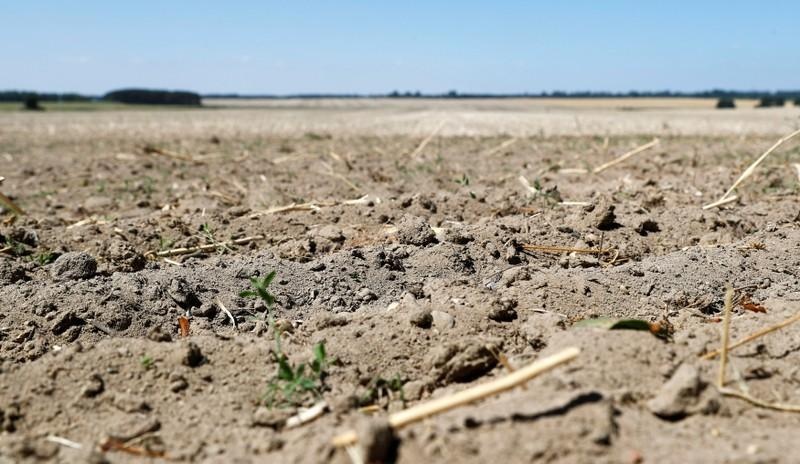 nang nong ky luc tai chau Au anh 5