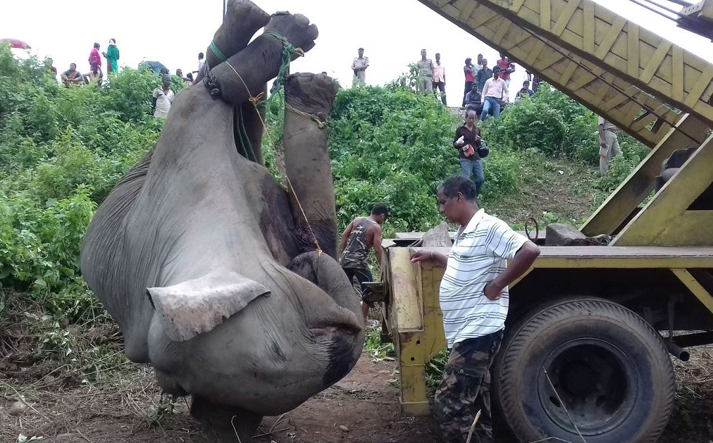 nguoi va voi gianh dat song tai An Do anh 5
