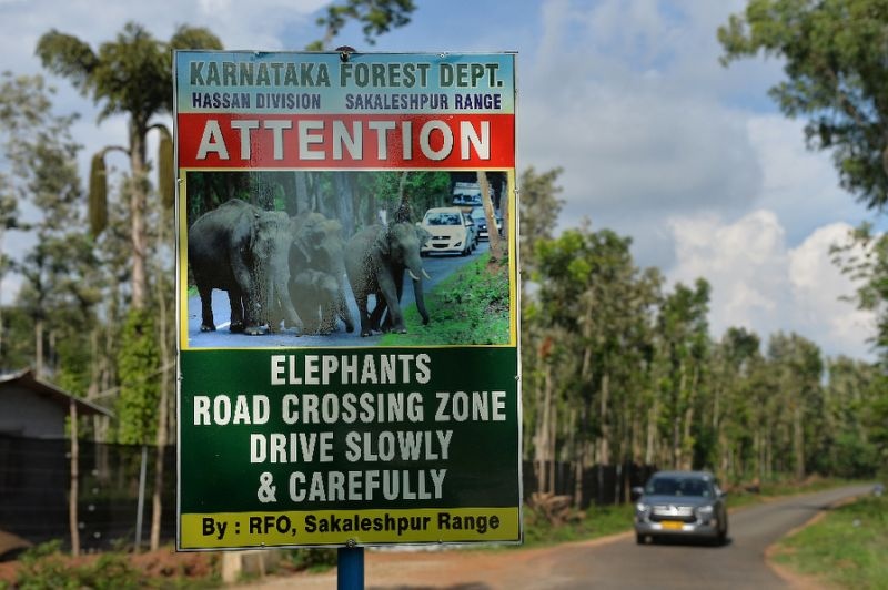 nguoi va voi gianh dat song tai An Do anh 9
