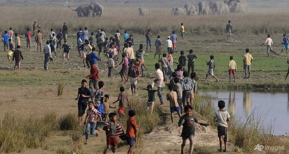 nguoi va voi gianh dat song tai An Do anh 1