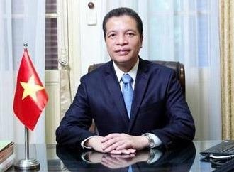 Viet Nam can cung co noi luc de ung pho moi rui ro kinh te hinh anh