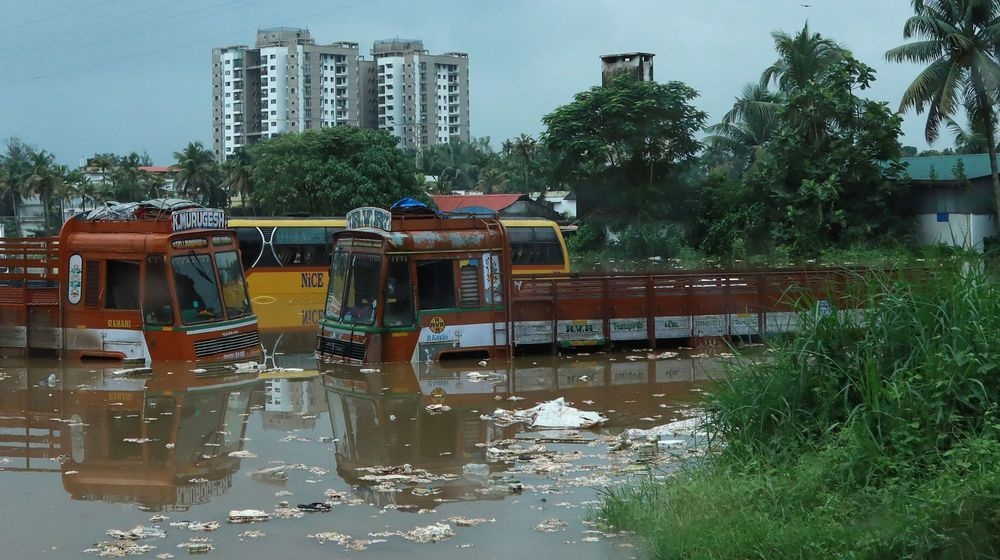 lu lut tai An Do anh 7