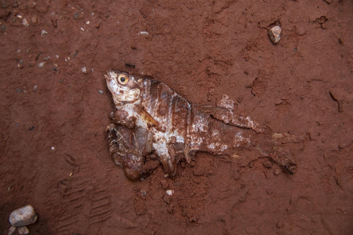 Trung Quoc pha dap thuy dien anh 3