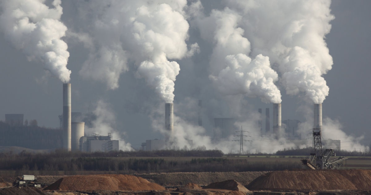 he sinh thai thay doi anh 3