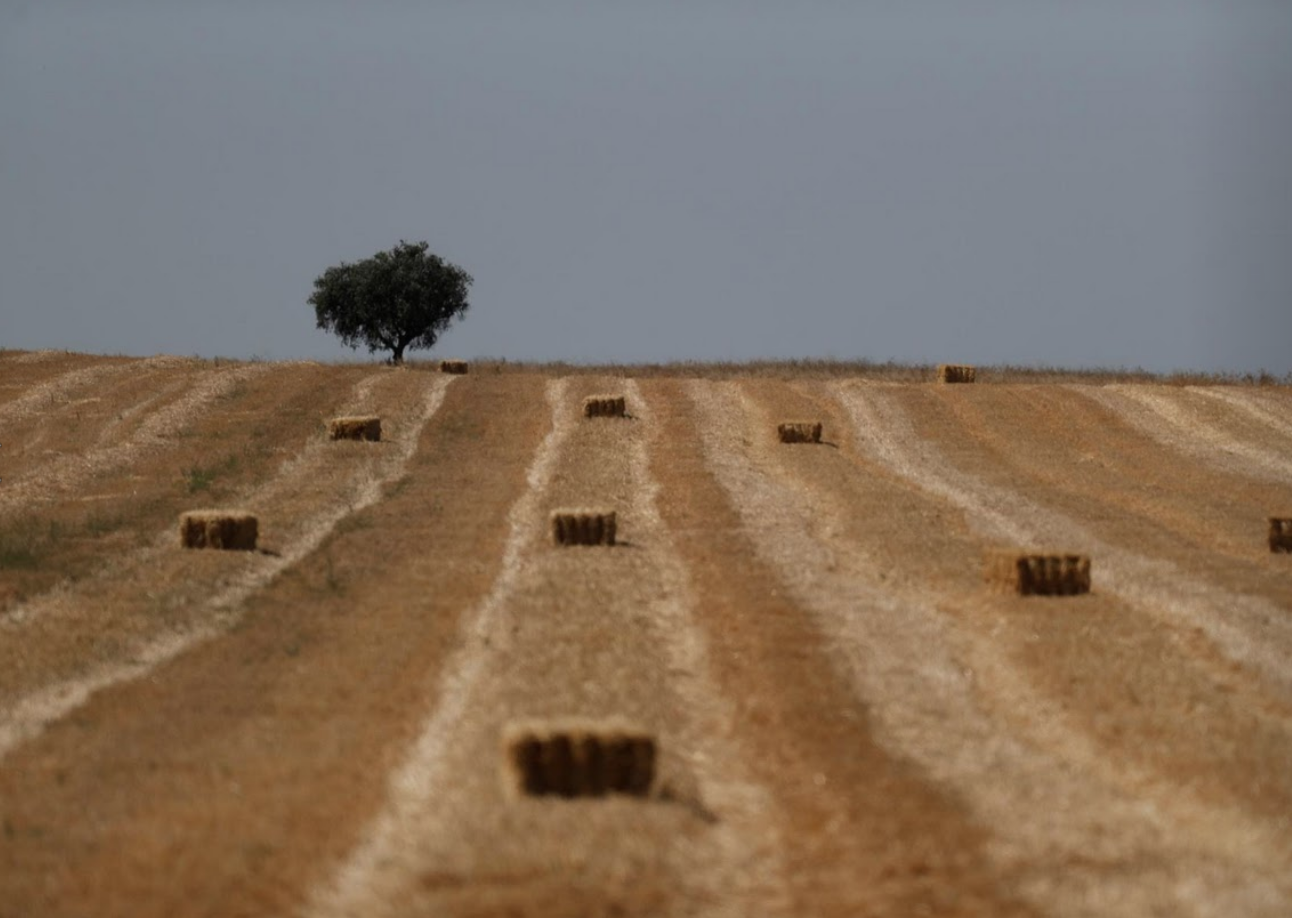 Bo Dao Nha thu hut dau tu nuoc ngoai anh 7