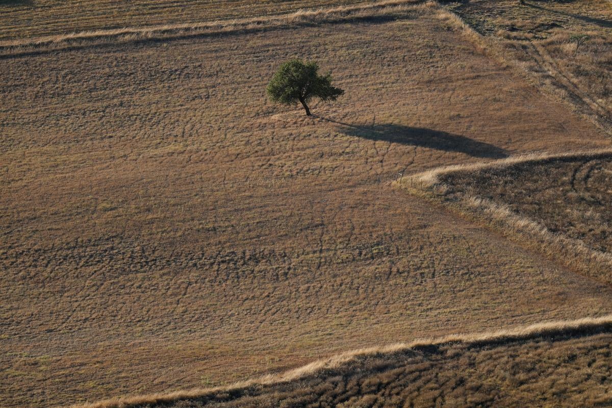Bo Dao Nha thu hut dau tu nuoc ngoai anh 11