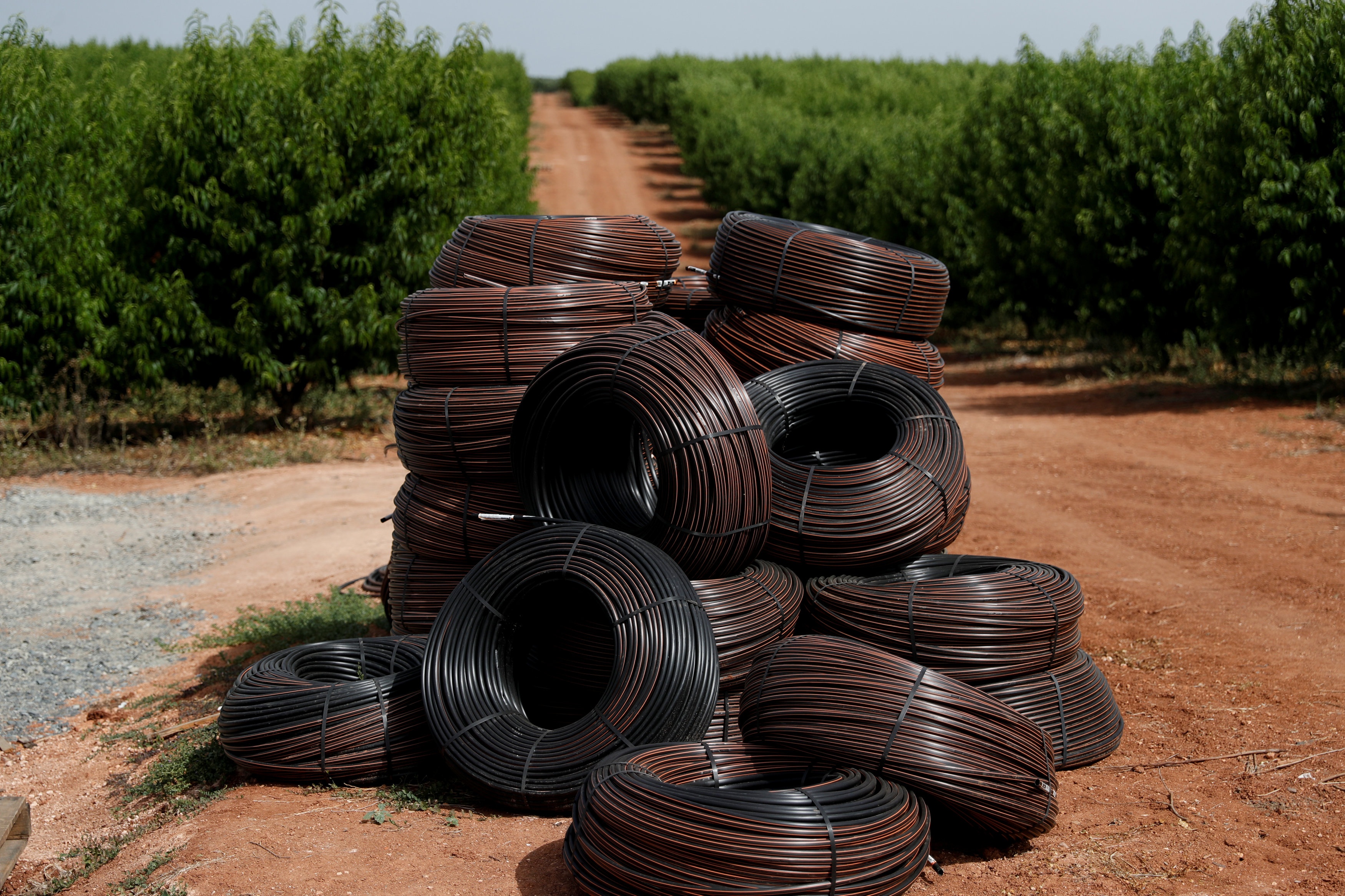 Bo Dao Nha thu hut dau tu nuoc ngoai anh 4