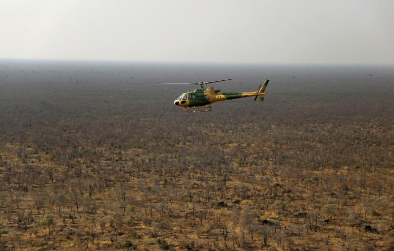 phát hiện xác voi ở Botswana ảnh 4 phat hien xac voi o Botswana anh 4