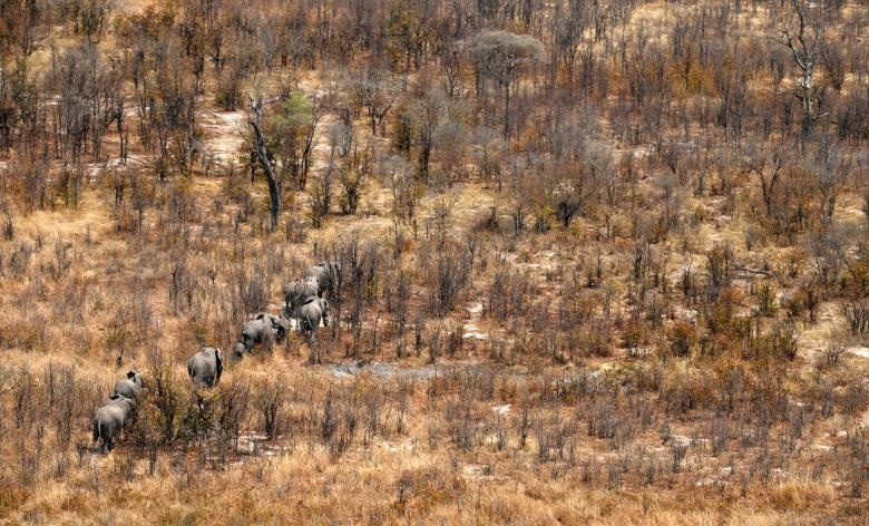 phát hiện xác voi ở Botswana ảnh 5 phat hien xac voi o Botswana anh 5